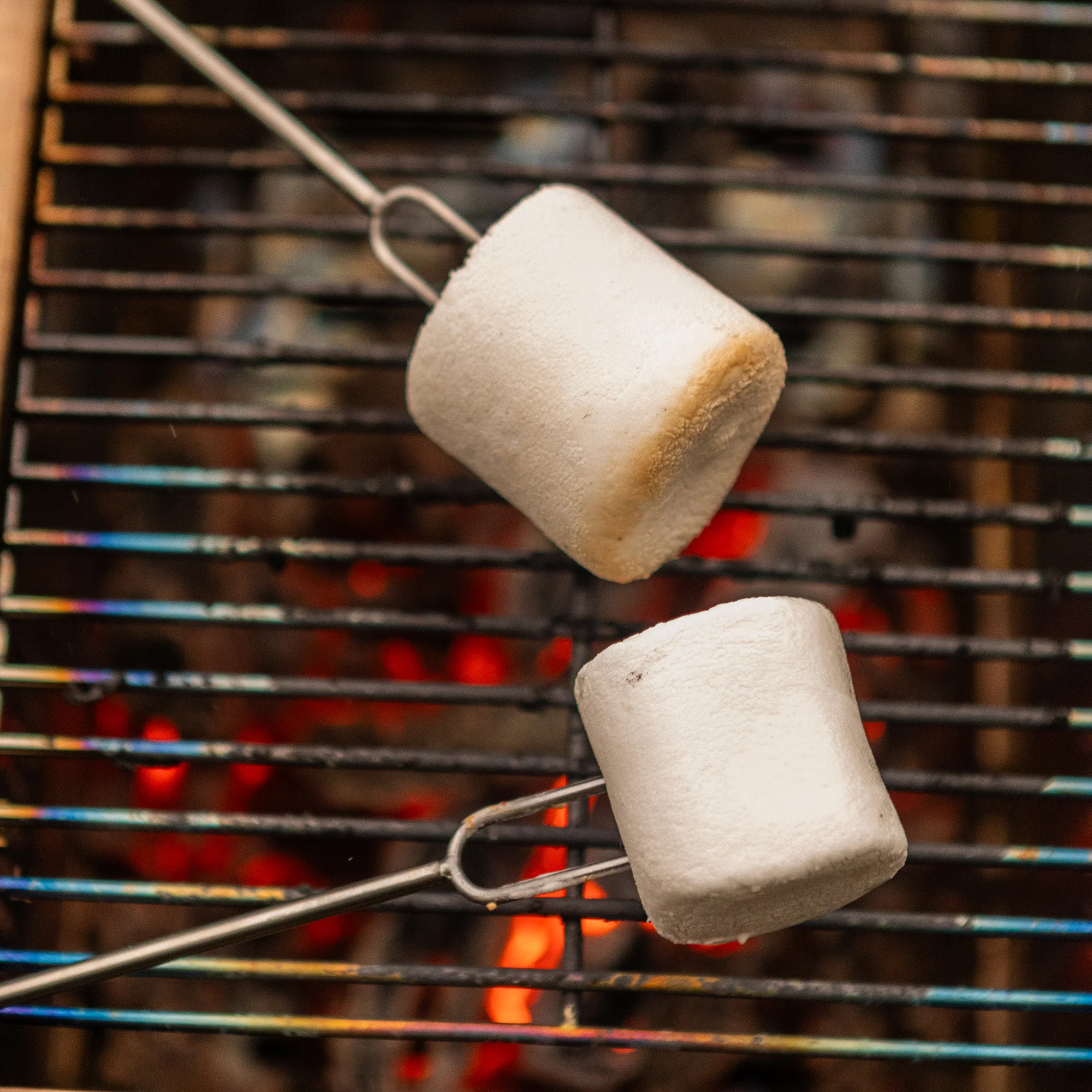 Flatpack Roasting Kit - Image 10