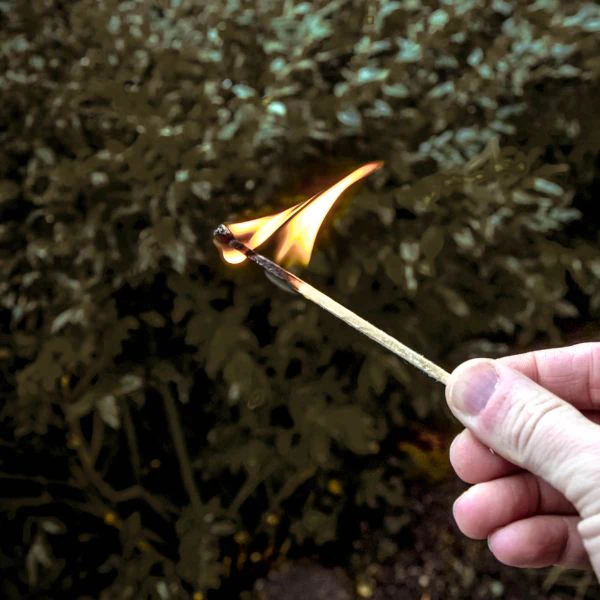 LONG-BURN MATCHES, 50 BOX - Image 4
